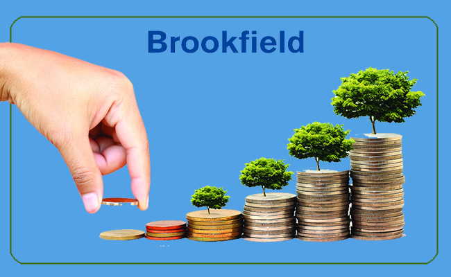 Brookfield emerges as the largest private investor in India by beating Blackstone