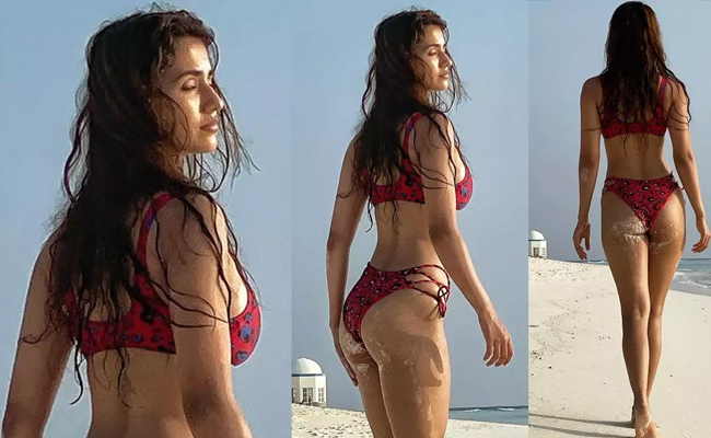 Disha Patani poses in a bikini on her Maldives vacation