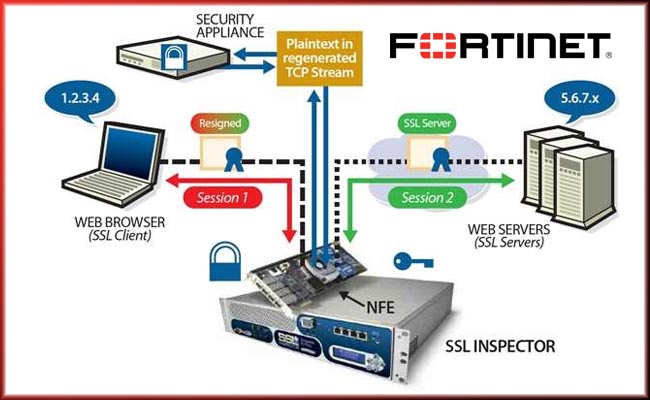 Fortinet recognized as No.1 Network Security Appliances Vendor in India by IDC
