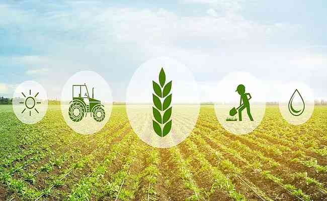 Government to aid 112 AgriTech startUps with a sum of Rs 11.85 cr