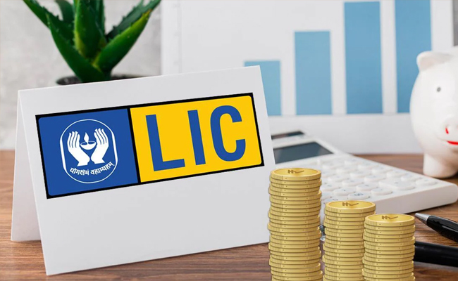 LIC IPO: shares slid 6% on debut day, raises concern