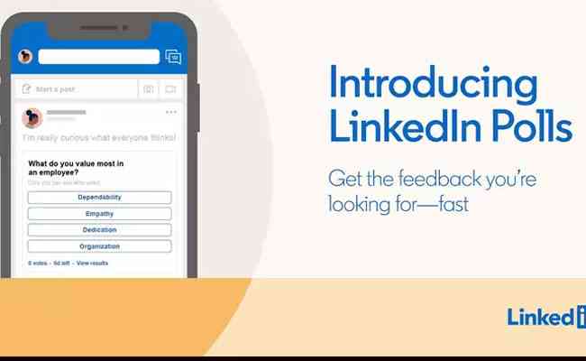 LinkedIn launches 'Polls' to tap into the power of professional network