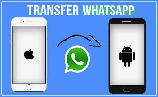 One-Click Away On Your iOS and Android Phones With Just One WhatsApp Click