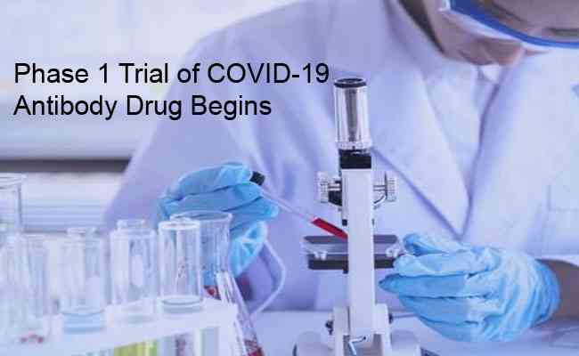 Phase 1 trial of COVID-19 antibody drug begins