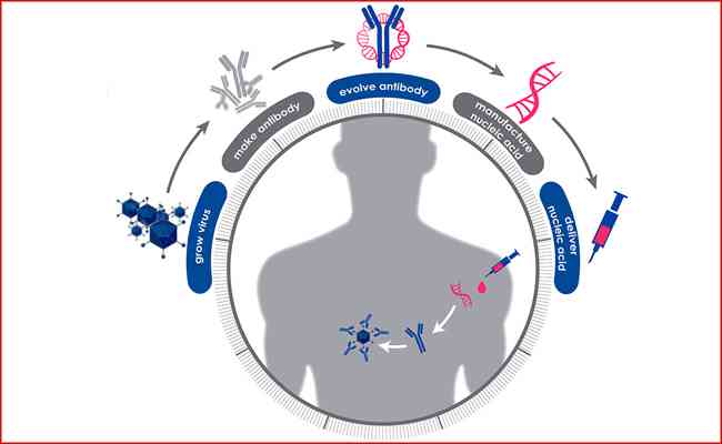 Recovered patient antibody treatments against COVID-19 underway