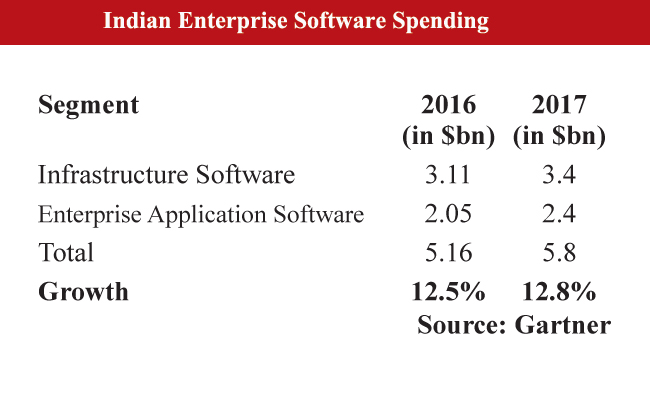 Software: Moderate Growth