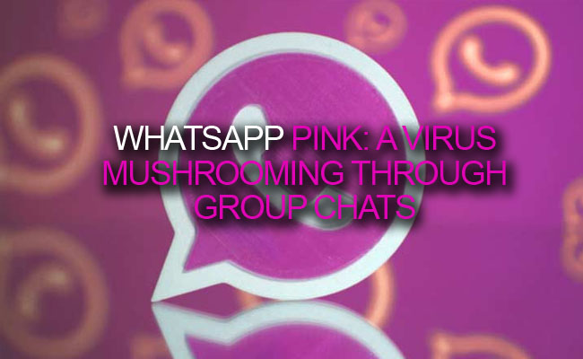 WhatsApp Pink: a virus mushrooming through group chats